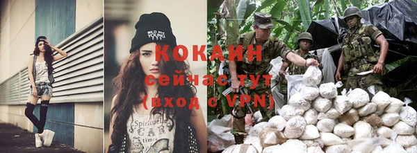 прущие крисы Абаза